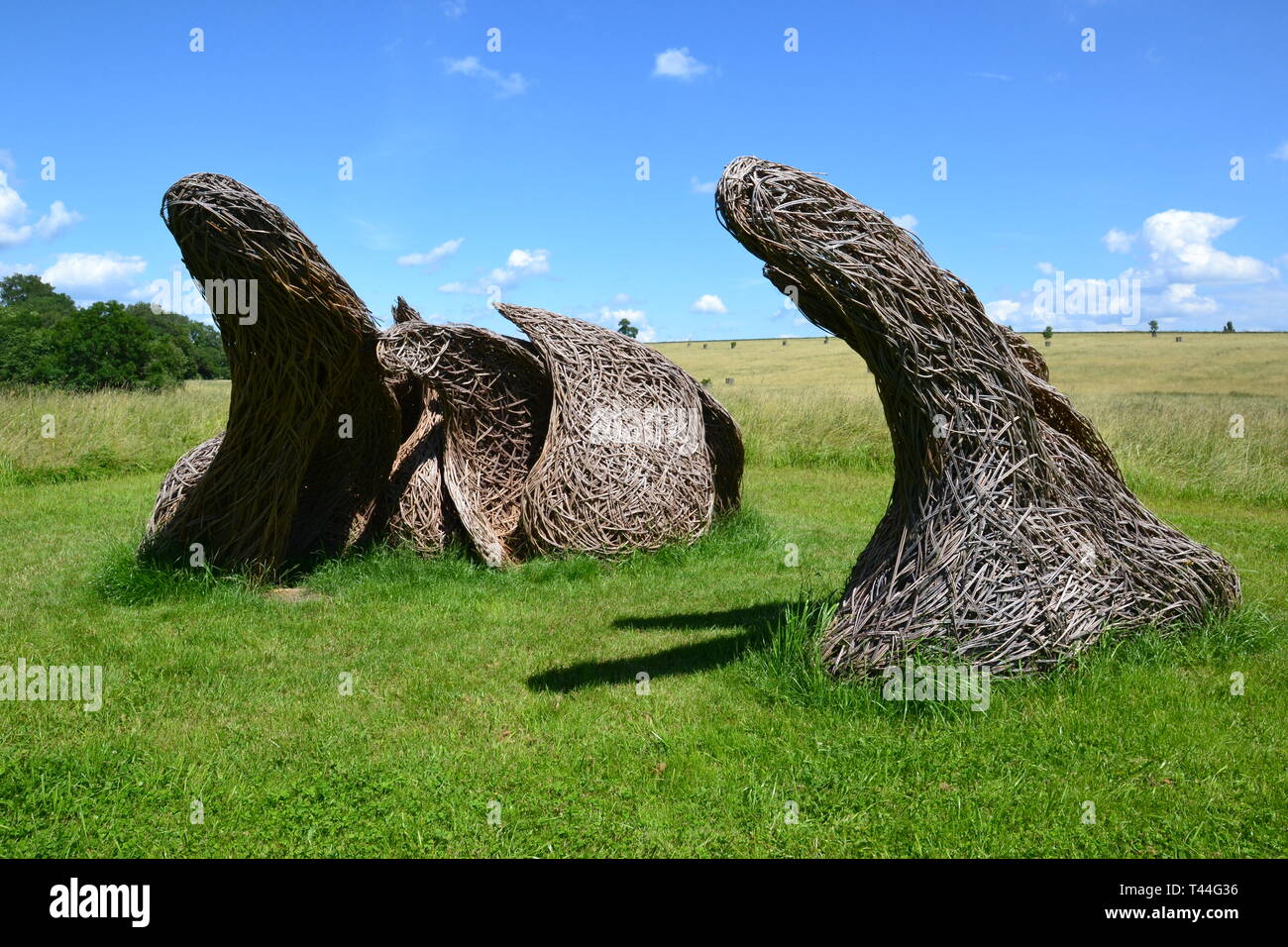 Le sculture realizzate da fibre vegetali tessute insieme per creare un effetto onda. Compton Verney House, Compton Verney, Kineton, Warwickshire, Inghilterra, Regno Unito. Foto Stock