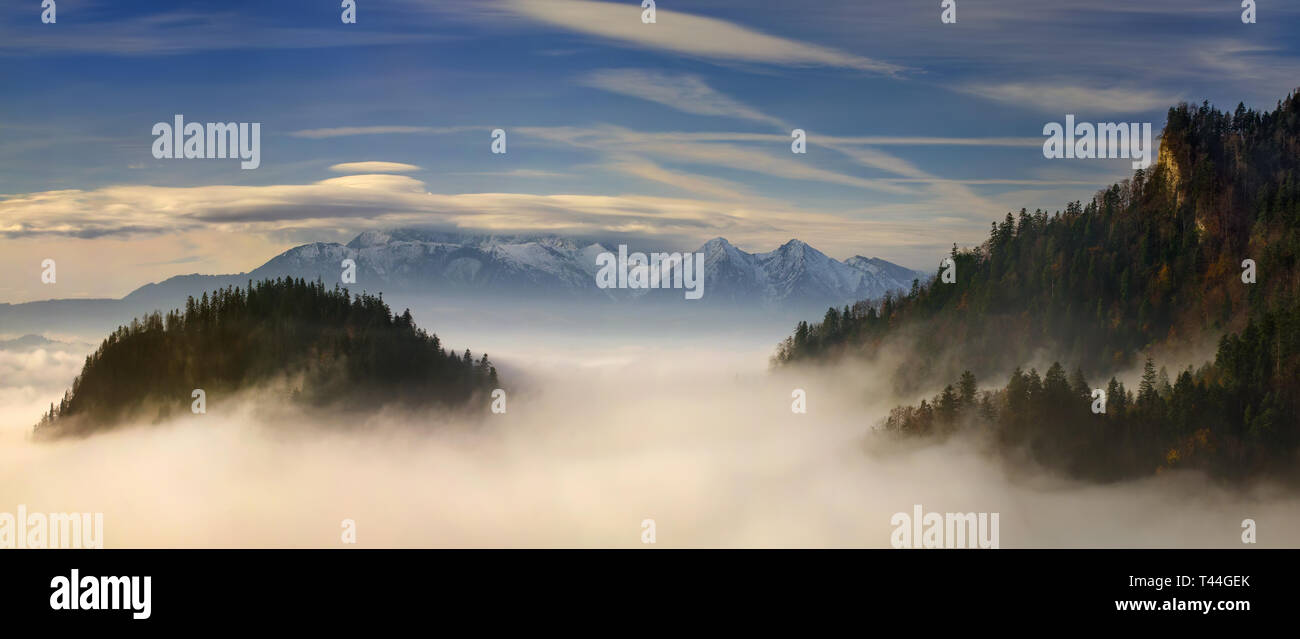 Nebbia in Pieniny montagne nella luce di sunrise, Polonia Foto Stock