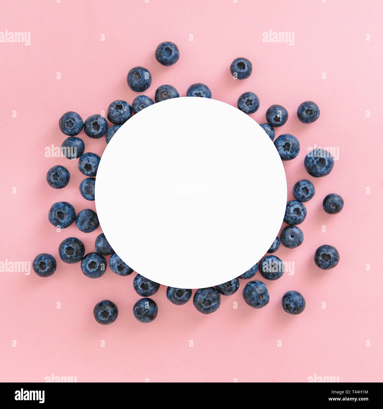Layout creativi con fresche bacche mature. Mirtillo su sfondo rosa con round cerchio bianco nel centro per copiare lo spazio. Si può utilizzare per il design, promo, social media, vista dall'alto. Instagram formato quadrato. Foto Stock