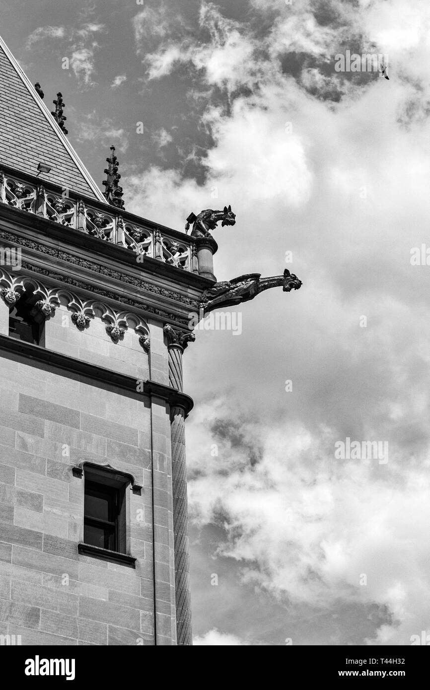 Due doccioni sembrano urlare nel vuoto, come un uccello vola overhead, al Biltmore Estate in Asheville, NC, Stati Uniti d'America Foto Stock