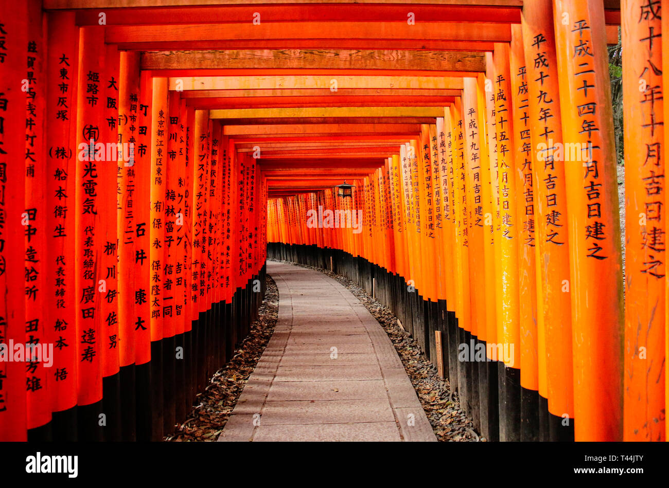 KYOTO, Giappone - 02 Aprile 2019: Rosso Torii gates in Fushimi Inari santuario a Kyoto, Giappone Foto Stock