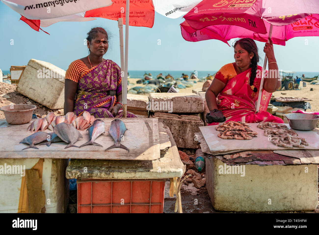 Ritratto orizzontale delle signore di vendita del pesce al Marina Beach mercato del pesce a Chennai, India. Foto Stock