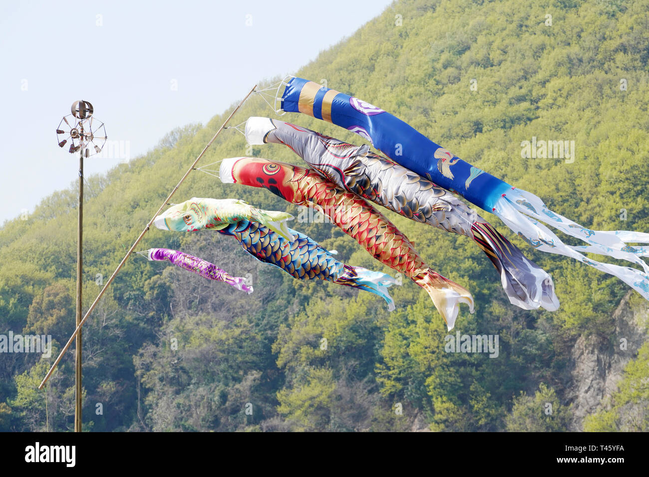 Giapponese carpa Koinobori kite, decorazione sulla Giornata per i bambini Foto Stock