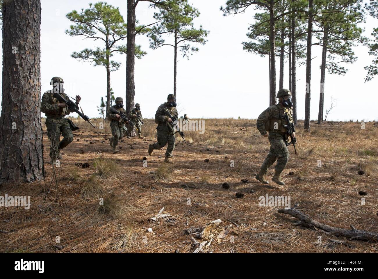 Stati Uniti Marines con sede batteria, 1° Battaglione, decimo reggimento Marine, seconda divisione Marine, sprint per coprire durante il Marine Corps Combat Readiness Evaluation (MCCRE) come parte di esercizio Rolling Thunder 1-19 Ft. Bragg, N.C., 12 marzo, 2019. Il MCCRE testato la capacità della batteria per effettuare efficacemente le operazioni di combattimento in avanti di un ambiente distribuito. Foto Stock