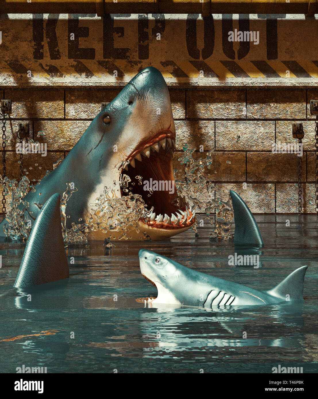Shark serbatoio si prega di tenere fuori,3d rendering Foto Stock