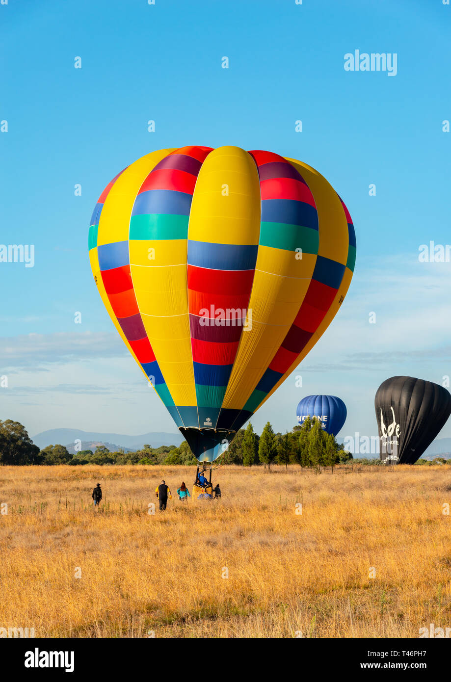 A Canberra, Australia, Marzo 10th, 2019, i palloni ad aria calda di atterraggio in campi con un cielo blu durante il festival annuale del. Foto Stock