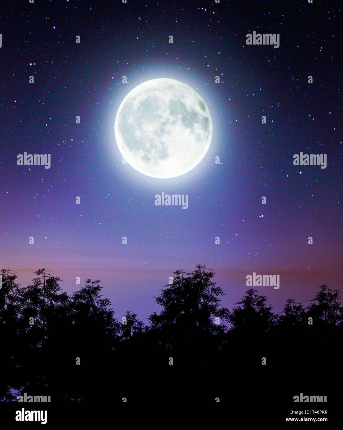Scena della luna al di sopra del bosco,3d rendering Foto Stock