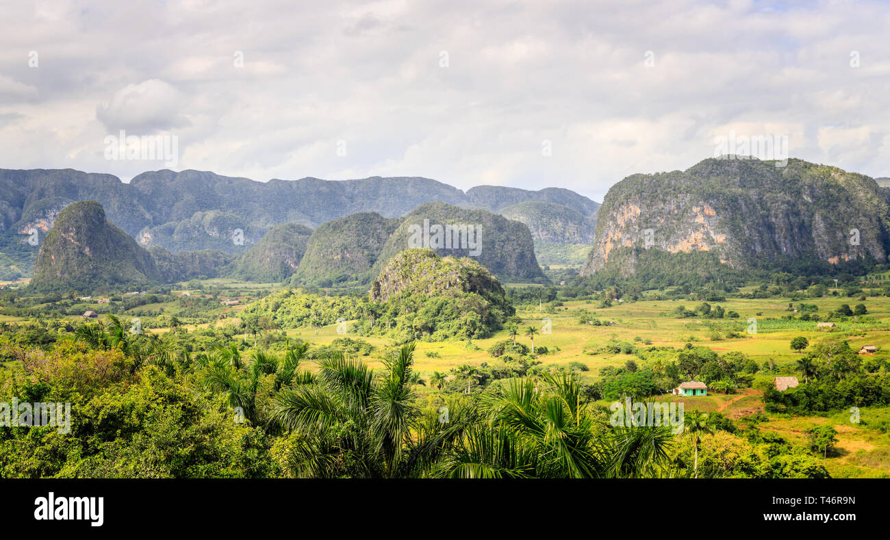 Verde Valle dei caraibi con piccole case cubane e colline mogotes panorama del paesaggio, Vinales, Pinar Del Rio, Cuba Foto Stock