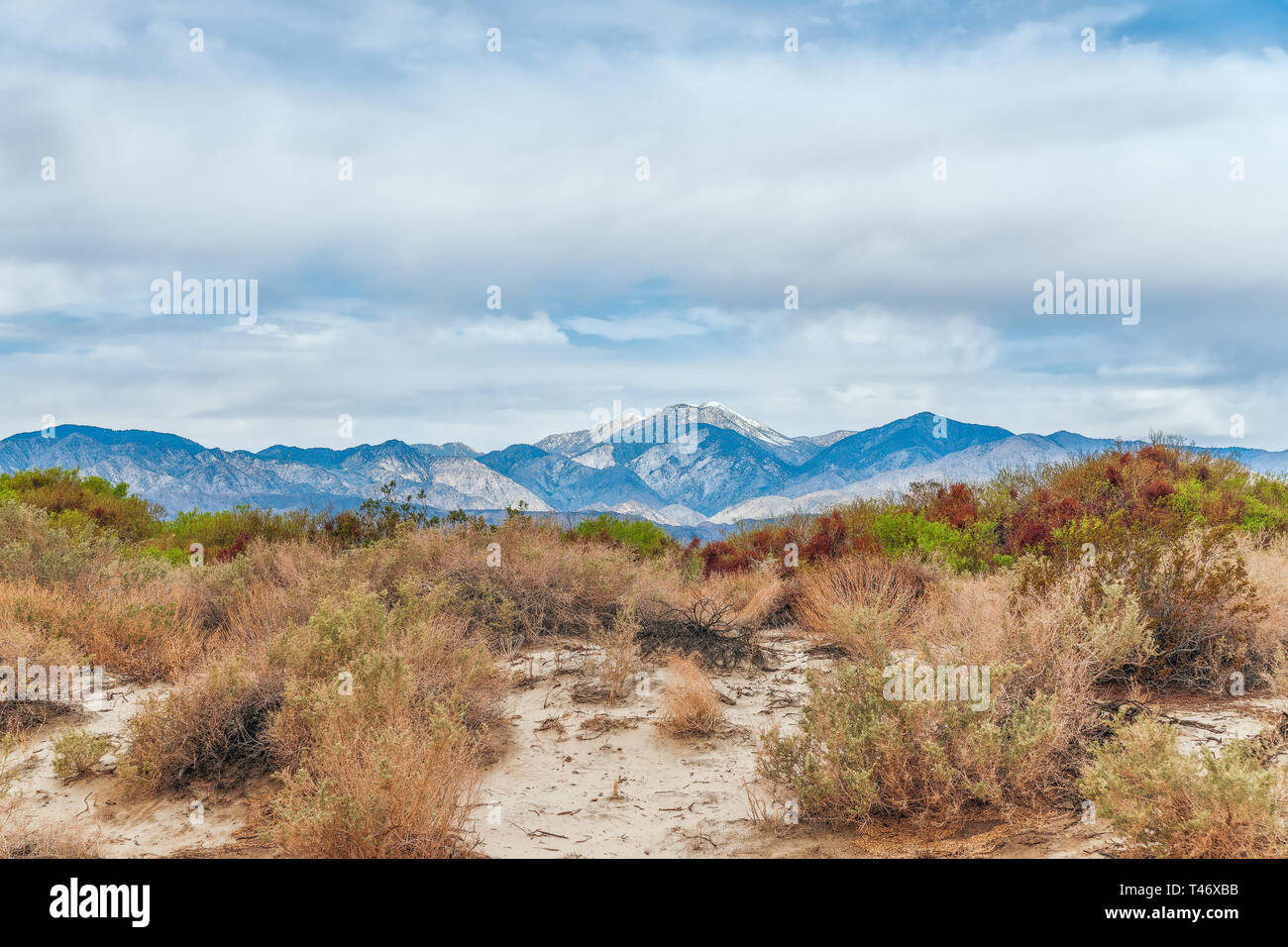 Vista del Coachella Valley dal Desert Hot Springs. La California del sud. Stati Uniti d'America Foto Stock