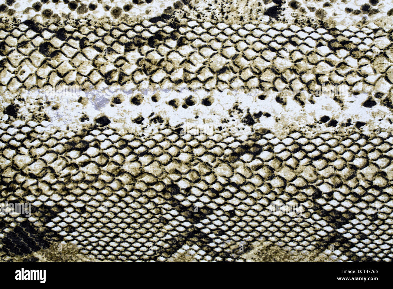 Materiale in pelle di animale modelli, uno sfondo o texture Foto Stock