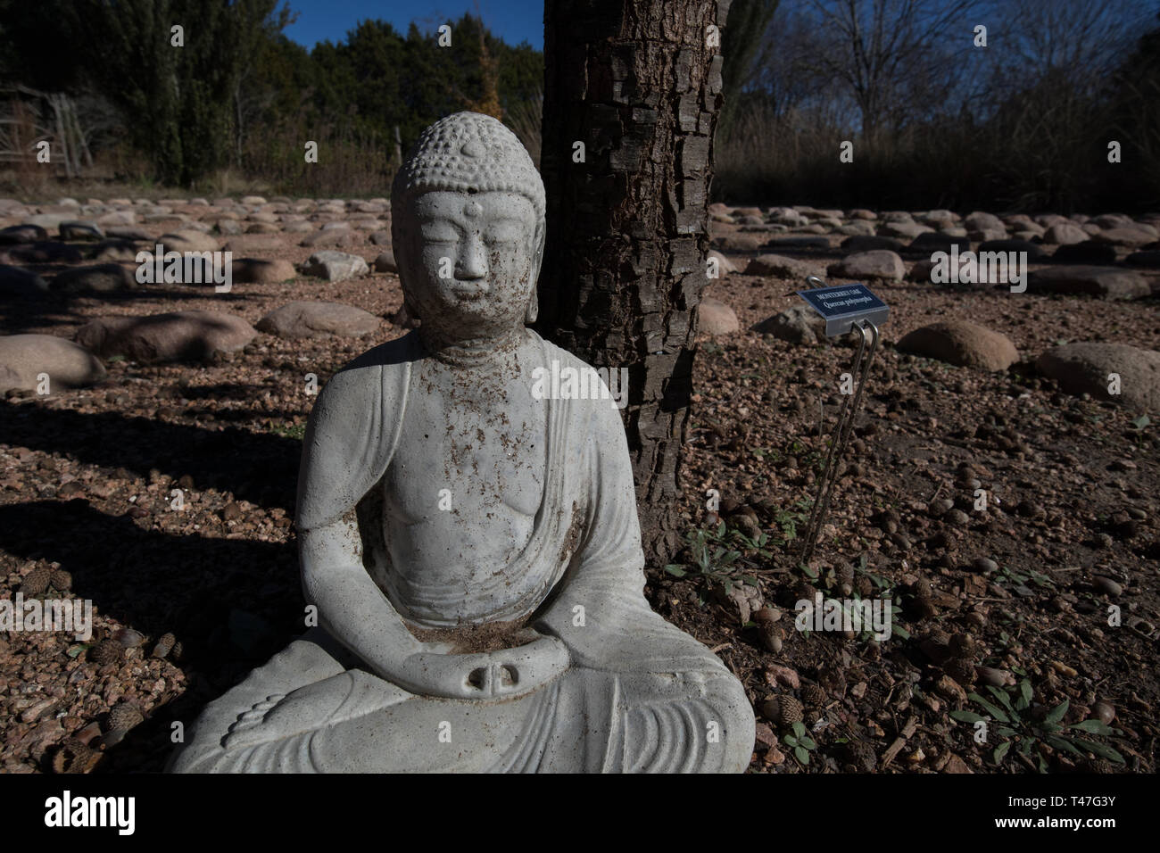 Una statua del Buddha meditato in un giardino Zen di ispirazione giapponese ad Austin, Texas Foto Stock