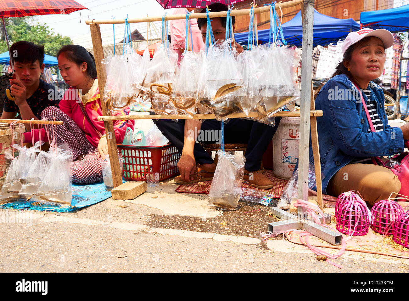 LUANG Prabang, Laos - Aprile 14, 2019. Locale popolo Lao celebrando Pi Mai, il Lao Anno nuovo, con un grande festival dell'acqua Foto Stock