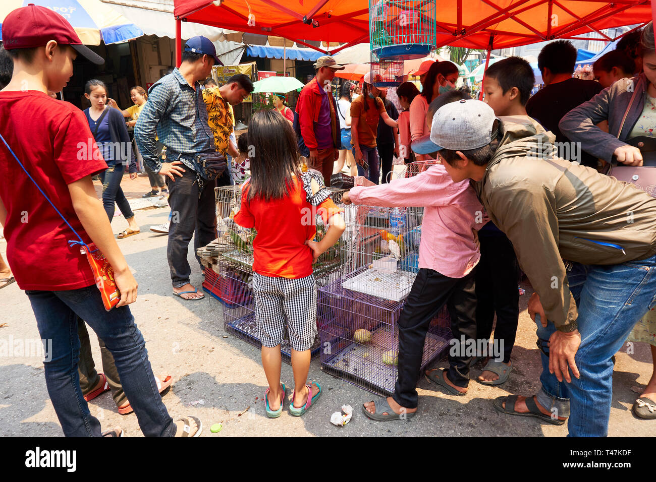 LUANG Prabang, Laos - Aprile 14, 2019. Locale popolo Lao celebrando Pi Mai, il Lao Anno nuovo, con un grande festival dell'acqua Foto Stock