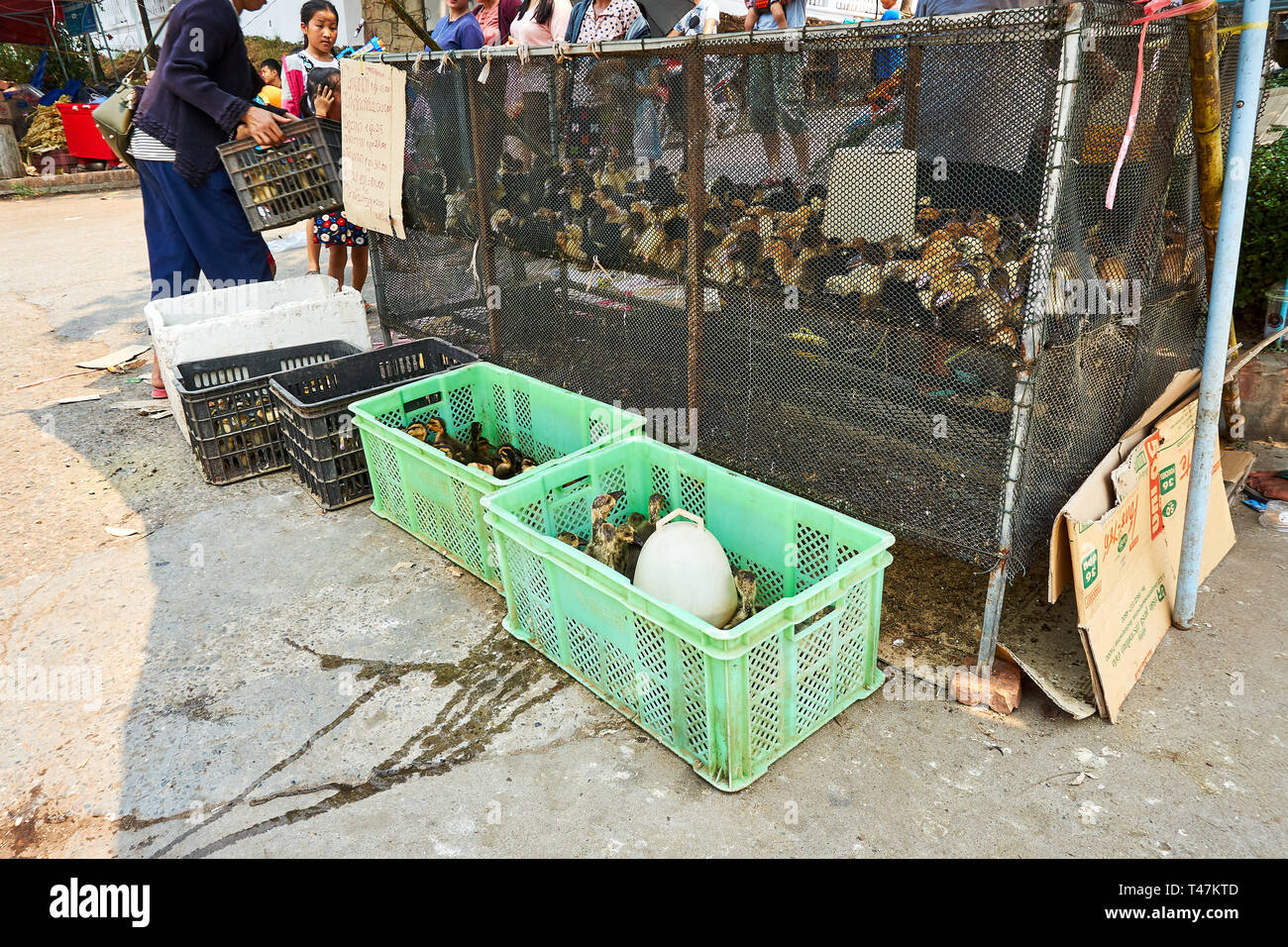 LUANG Prabang, Laos - Aprile 14, 2019. Locale popolo Lao celebrando Pi Mai, il Lao Anno nuovo, con un grande festival dell'acqua Foto Stock