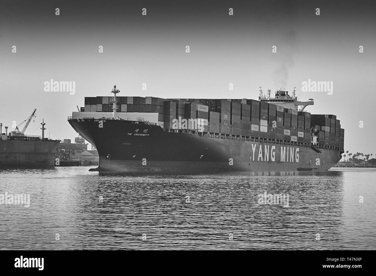 Foto in bianco e nero della nave portacontainer YANG MING, YM UNANIMITY, nel canale principale di Los Angeles, diretta al porto di Los Angeles, California Foto Stock