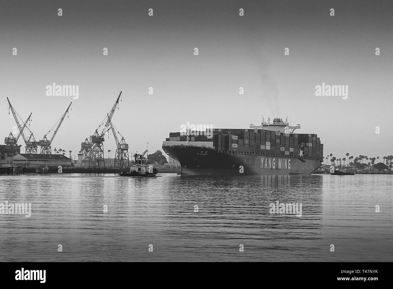 Foto in bianco e nero la nave container, YM UNANIMITY, che entra nel canale principale di Los Angeles, in corso verso il porto di Los Angeles, Stati Uniti. Foto Stock