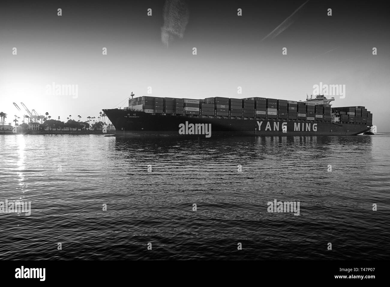 Foto in bianco e nero della Giant YANG MING Container Ship, YM UNANIMITY, che entra nel canale principale di Los Angeles, diretto al porto di Los Angeles Foto Stock