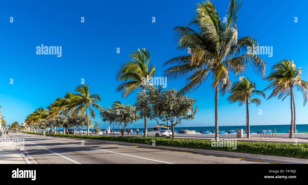 Palme e spiaggia, Fort Lauderdale Beach Boulevard, Fort Lauderdale, Broward County, Florida, Stati Uniti d'America Foto Stock