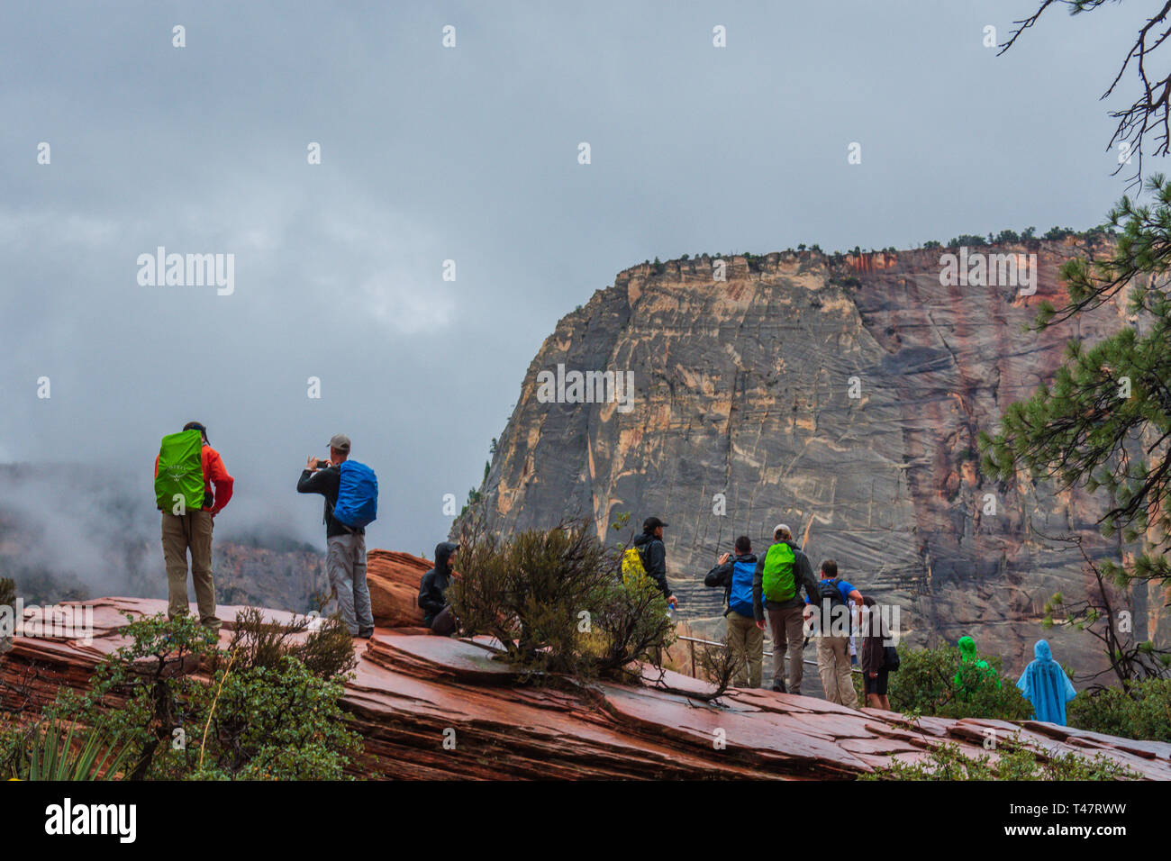 Gruppo di turisti non identificabili gli escursionisti con colorati zaini cerca su mensola al Parco Nazionale di Zion Foto Stock