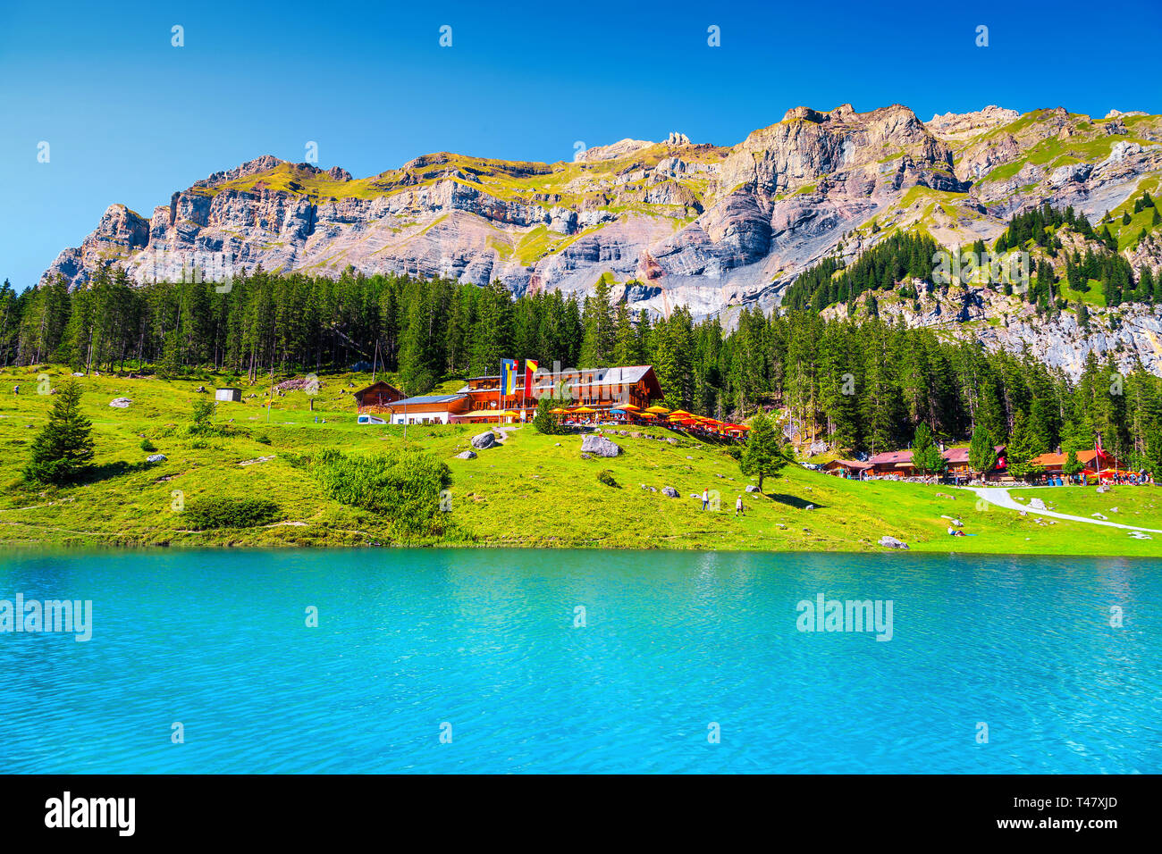 Famoso Viaggio e luogo turistico, splendido lago alpino e di alta montagna con la verde pineta, Oeschinensee lago, Oberland bernese, Svizzera Foto Stock