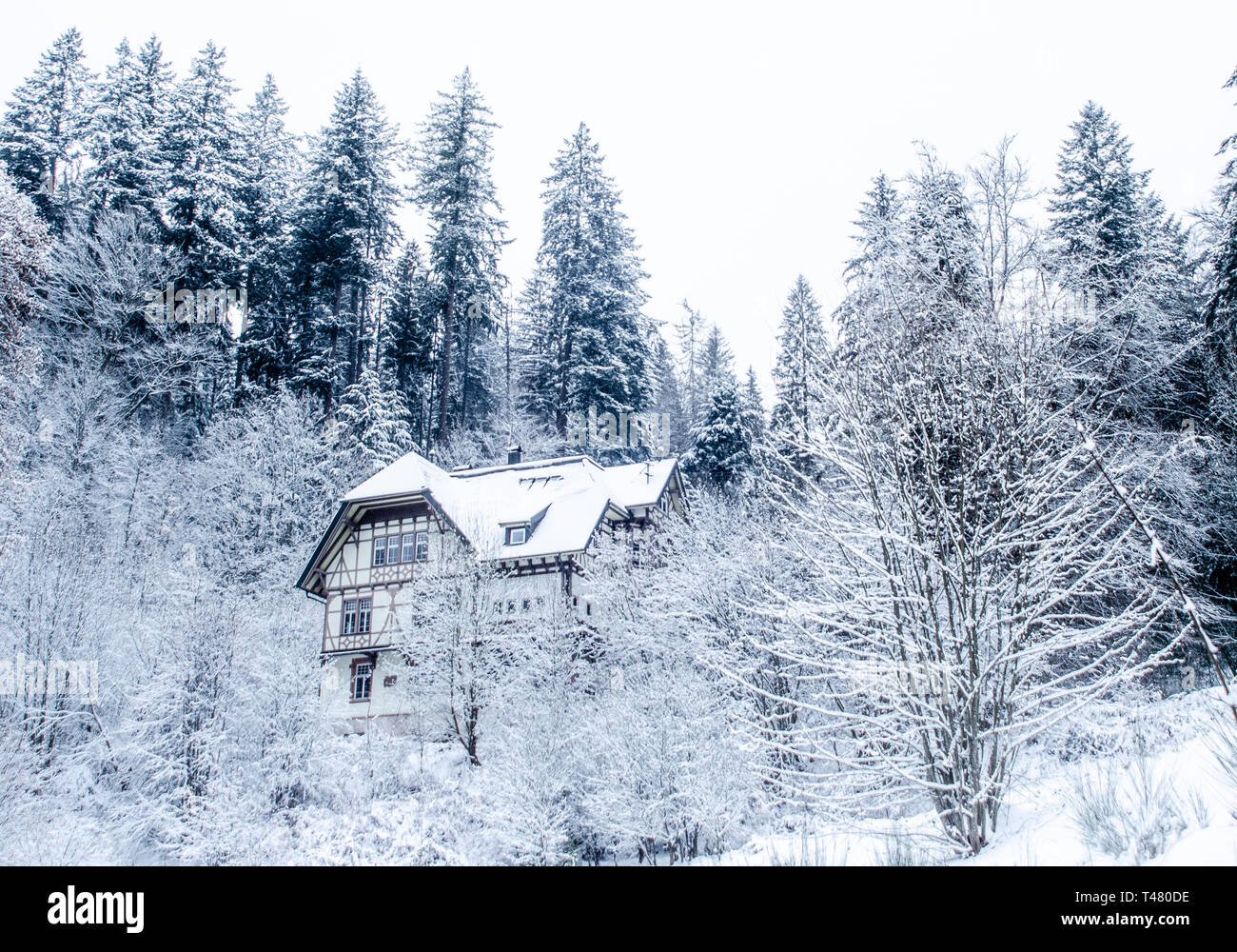 In Schwarzwaldhaus schneebedeckt Landschaft in Baden Würtemberg bei Tieberg kleines Bergehaus in mitten von Schnee inverno Foto Stock