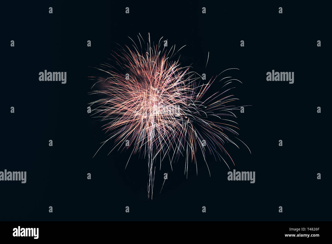 Colorata esplosione di fuochi d'artificio in festival annuale. isolato su sfondo Foto Stock