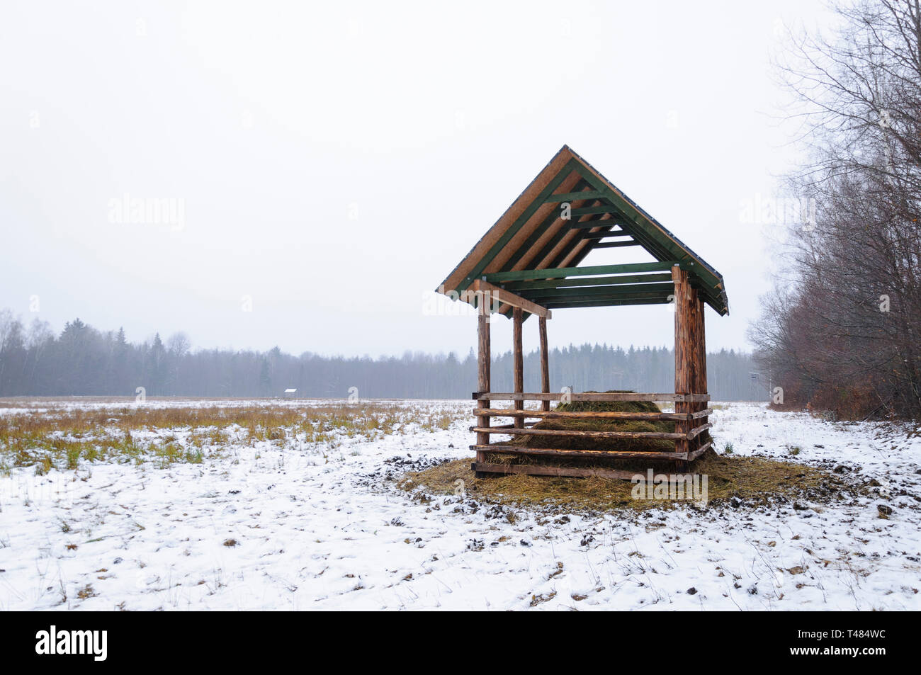 In legno di alimentazione rack per animali selvatici su un prato coprire dalla neve, accanto alla foresta durante l'inverno. Il carattere europeo del paesaggio. Foto Stock