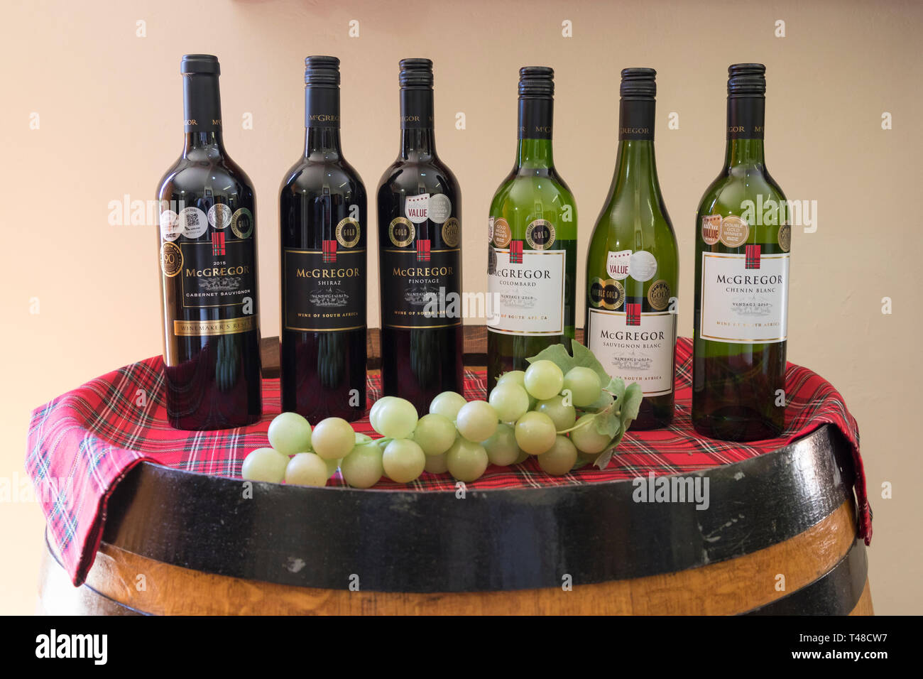 McGregor Vini Cantine, vendita e degustazione, McGregor, Robertson Wine Valley, Western Cape Winelands, Sud Africa display del premiato bottiglie di Foto Stock