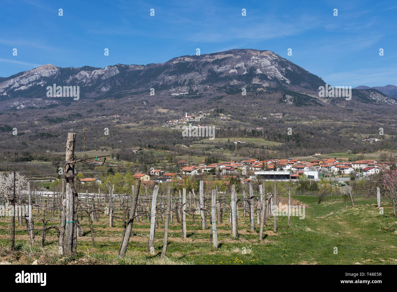 Vigneti della Valle del Vipava e Caven mountain in background. Vista da Vipavski Kriz, Slovenia Foto Stock