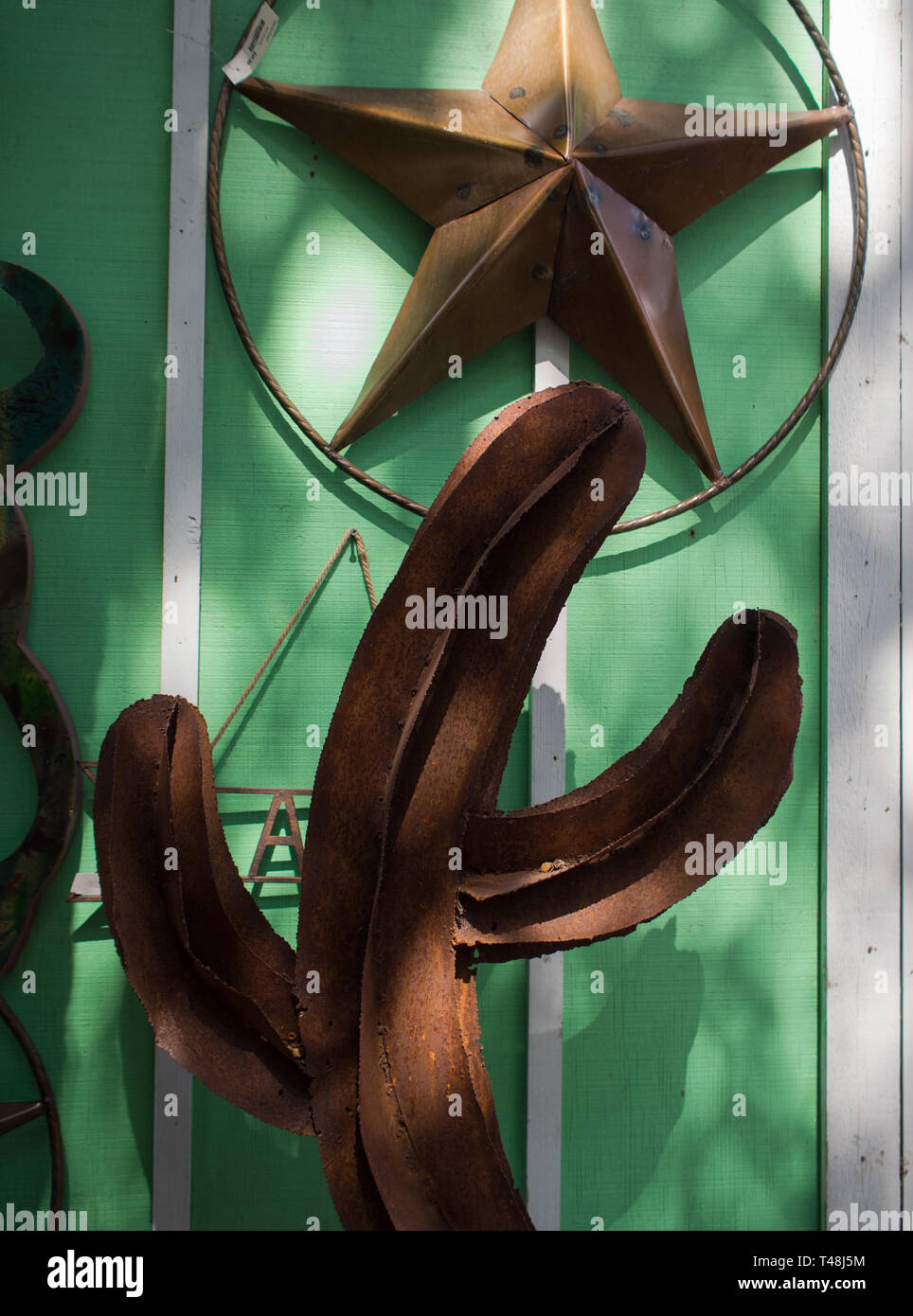 Ferro da stiro cactus e Texas star Foto Stock