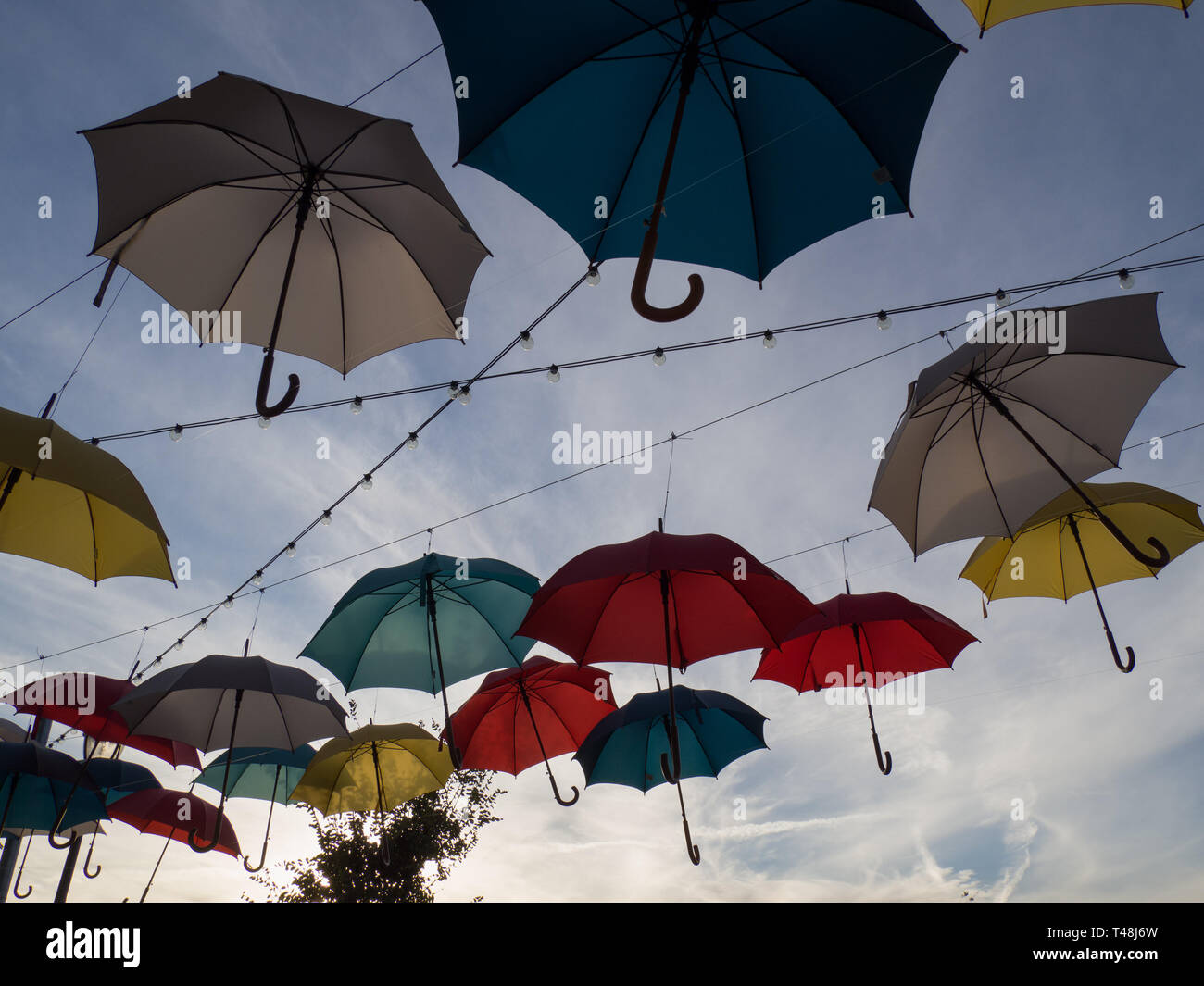 Ombrello di arte pubblica su installazione Aldrich Street di Austin in Texas Foto Stock