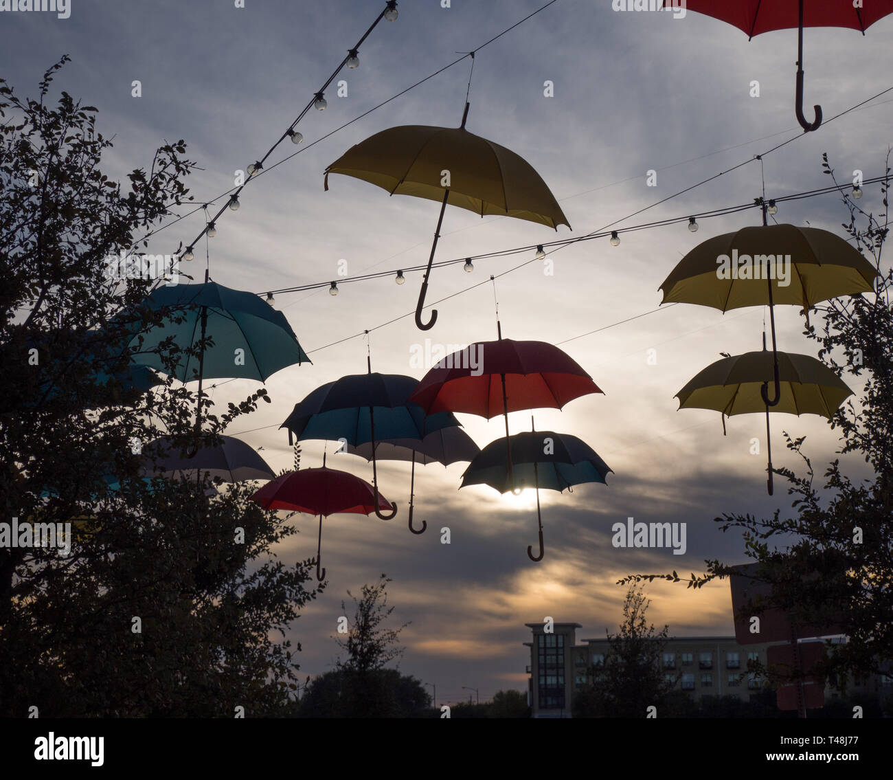 Ombrello di arte pubblica su installazione Aldrich Street di Austin in Texas Foto Stock