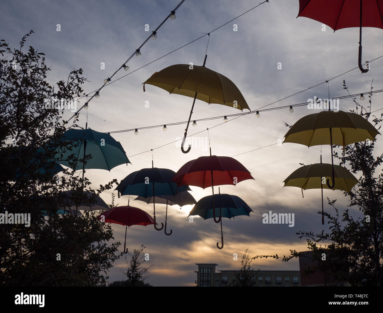 Ombrello di arte pubblica su installazione Aldrich Street di Austin in Texas Foto Stock