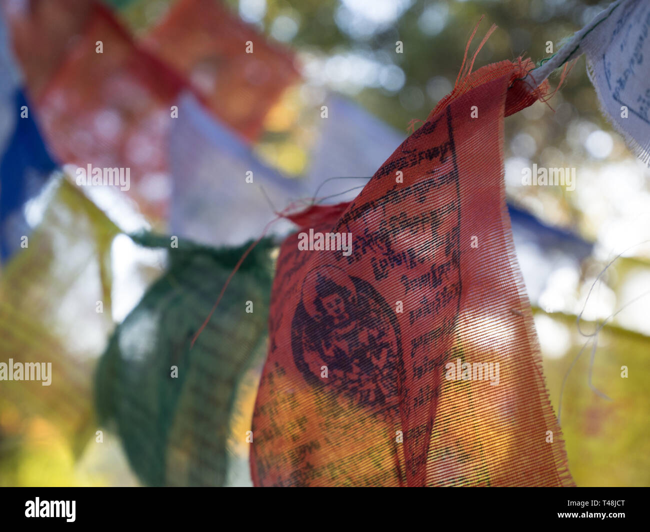 Preghiera tibetano bandiere pendenti da alberi Foto Stock