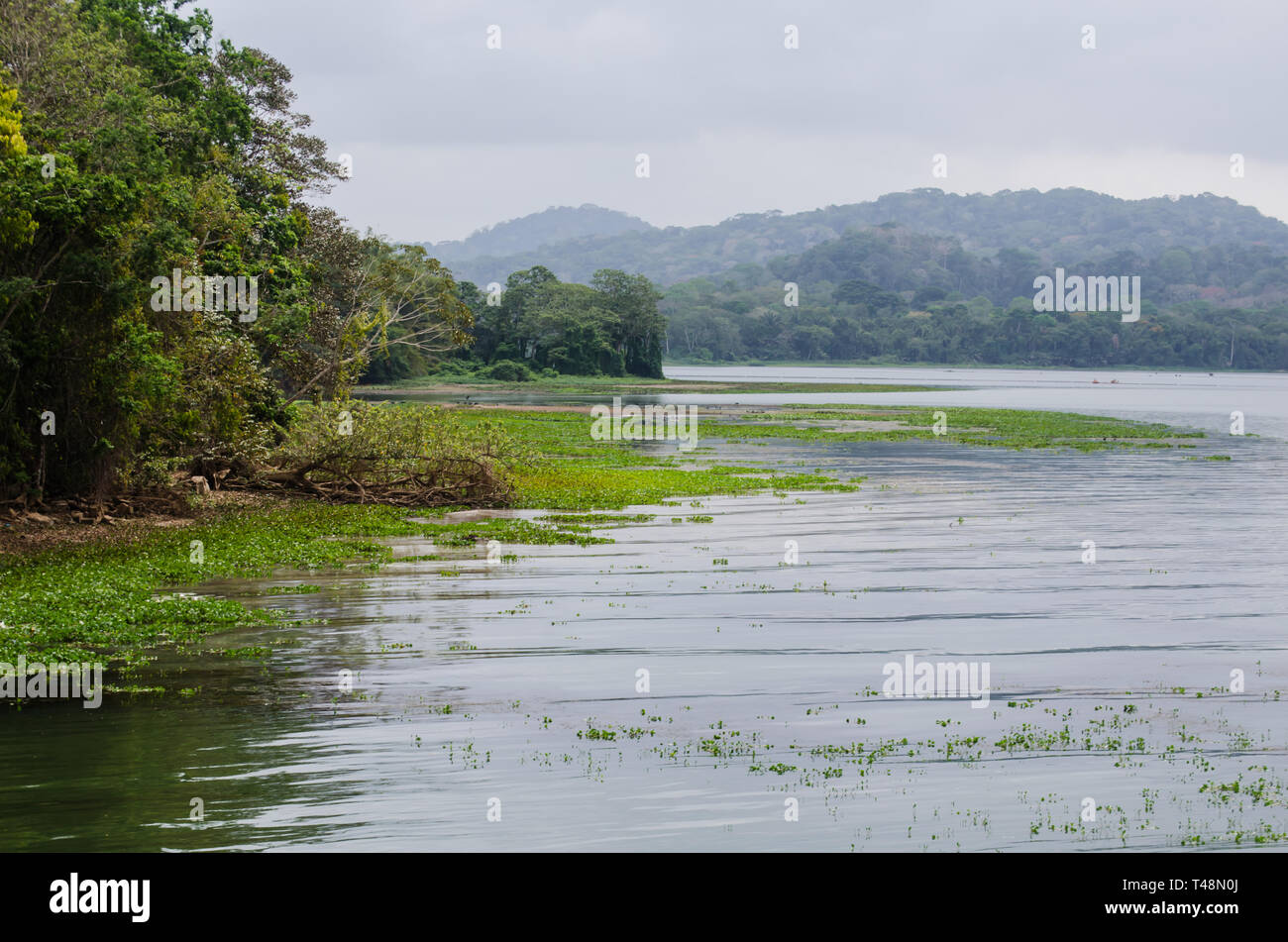 Fiume Chagres bocca in Gamboa Foto Stock