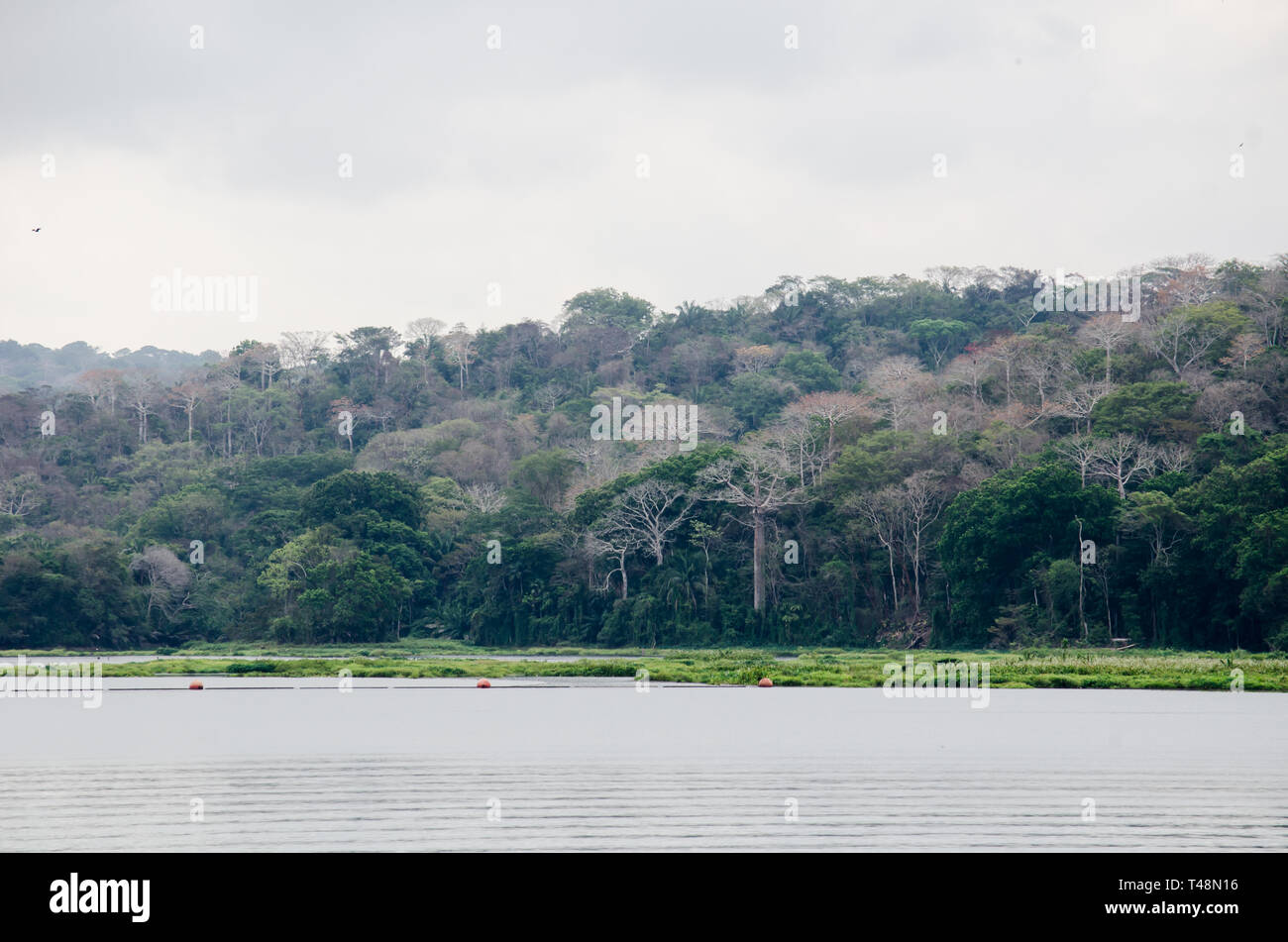 Sul Fiume Chagres e il Parco Nazionale di Soberania nella distanza Foto Stock
