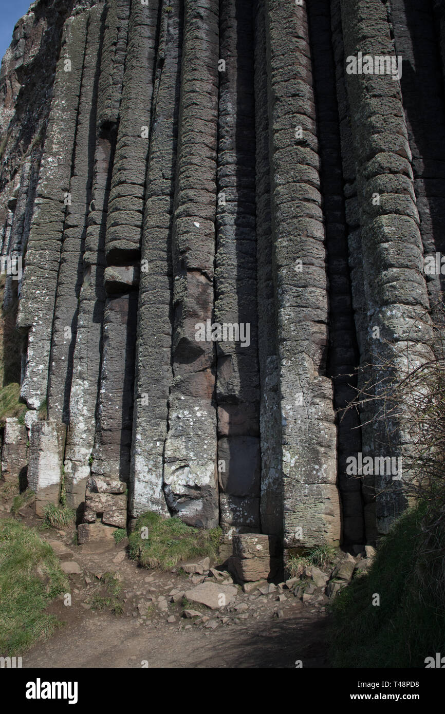 Alte colonne di basalto presso il Selciato del Gigante nell'Irlanda del Nord Foto Stock