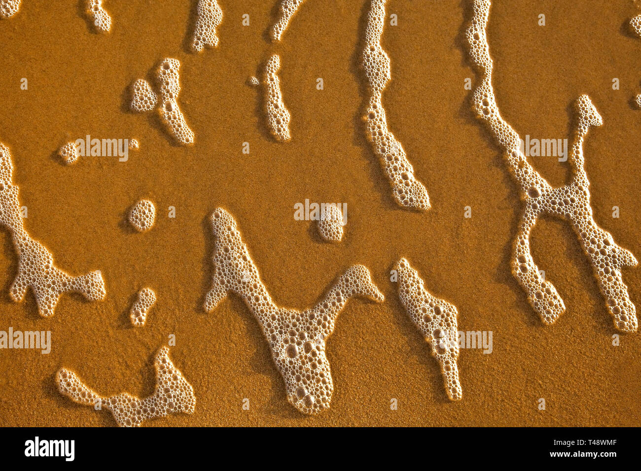 Schiuma di Mare su una sabbiosa spiaggia di Dorset. Foto Stock