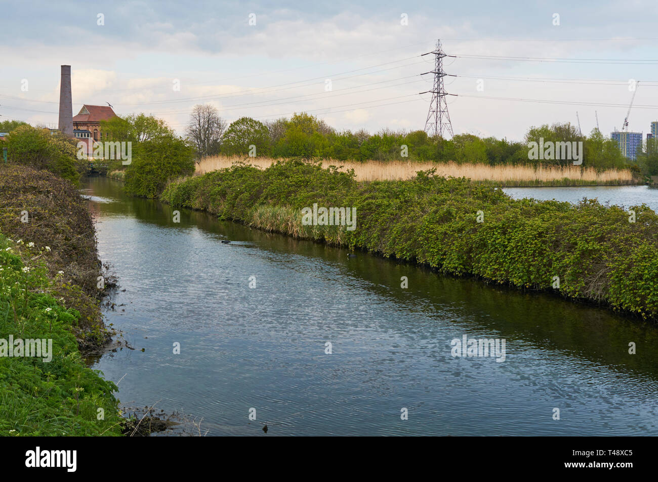 Flusso Coppermill in primavera, a Walthamstow zone umide, a nord est di Londra UK, con il motore di Victorian House building in background Foto Stock