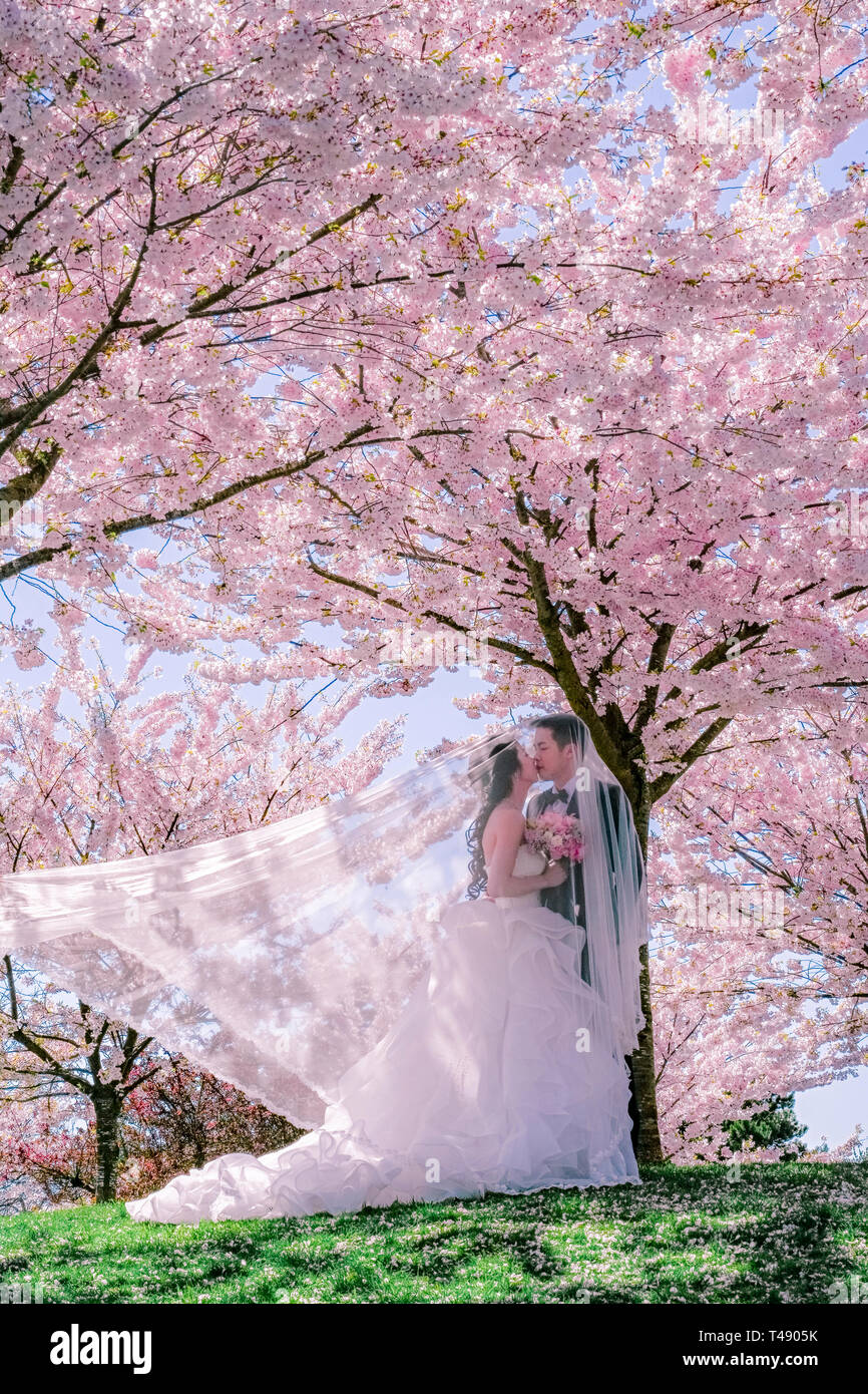 Un giovane giapponese sposa sposo foto di matrimonio. In posa in mezzo a fiori di ciliegio alberi in fiore. Foto Stock
