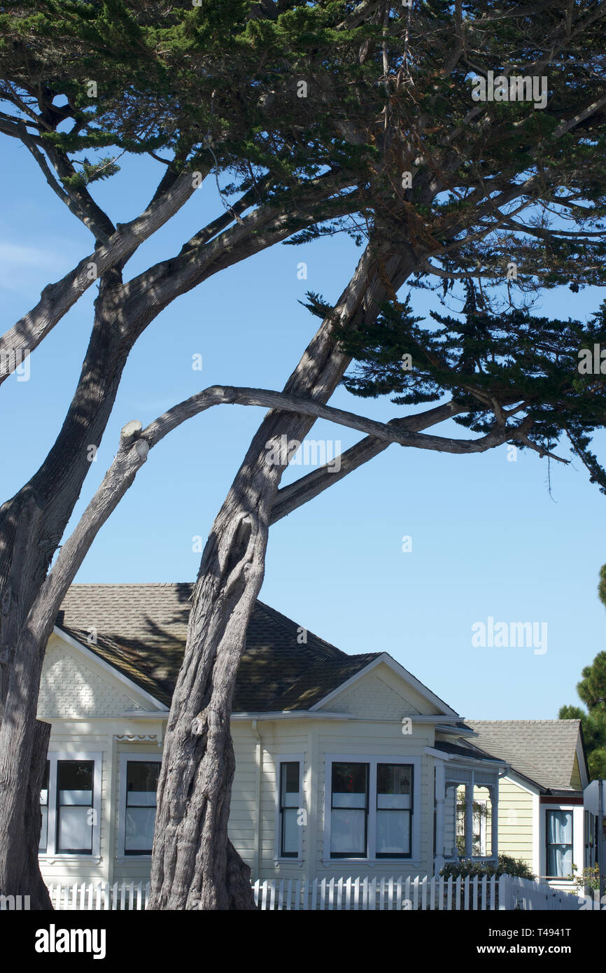 Pacific Grove, California, Stati Uniti d'America il 13 aprile 2019 caratteristico e case a prezzi accessibili in Pacific Grove, sulla penisola di Monterey, California, Stati Uniti d'America. Foto Stock