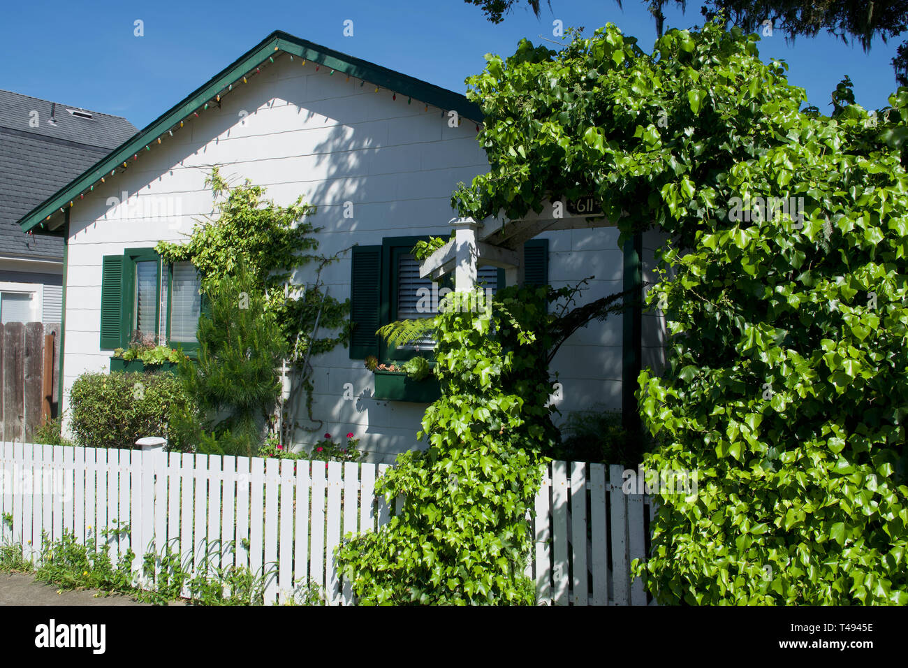 Pacific Grove, California, Stati Uniti d'America il 13 aprile 2019 caratteristico e case a prezzi accessibili in Pacific Grove, sulla penisola di Monterey, California, Stati Uniti d'America. Foto Stock