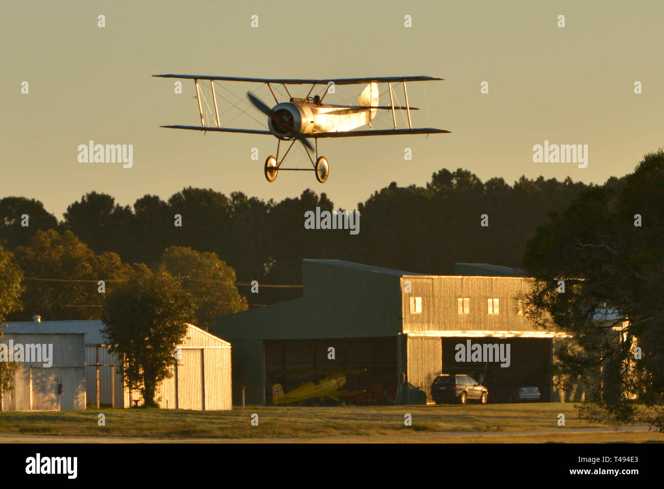 Alba immagini di una prima Guerra Mondiale Sopwith Pup biplano tenendo fuori dal campo di aviazione a serpentina, Western Australia. Hangar e capannoni nel telaio. Foto Stock