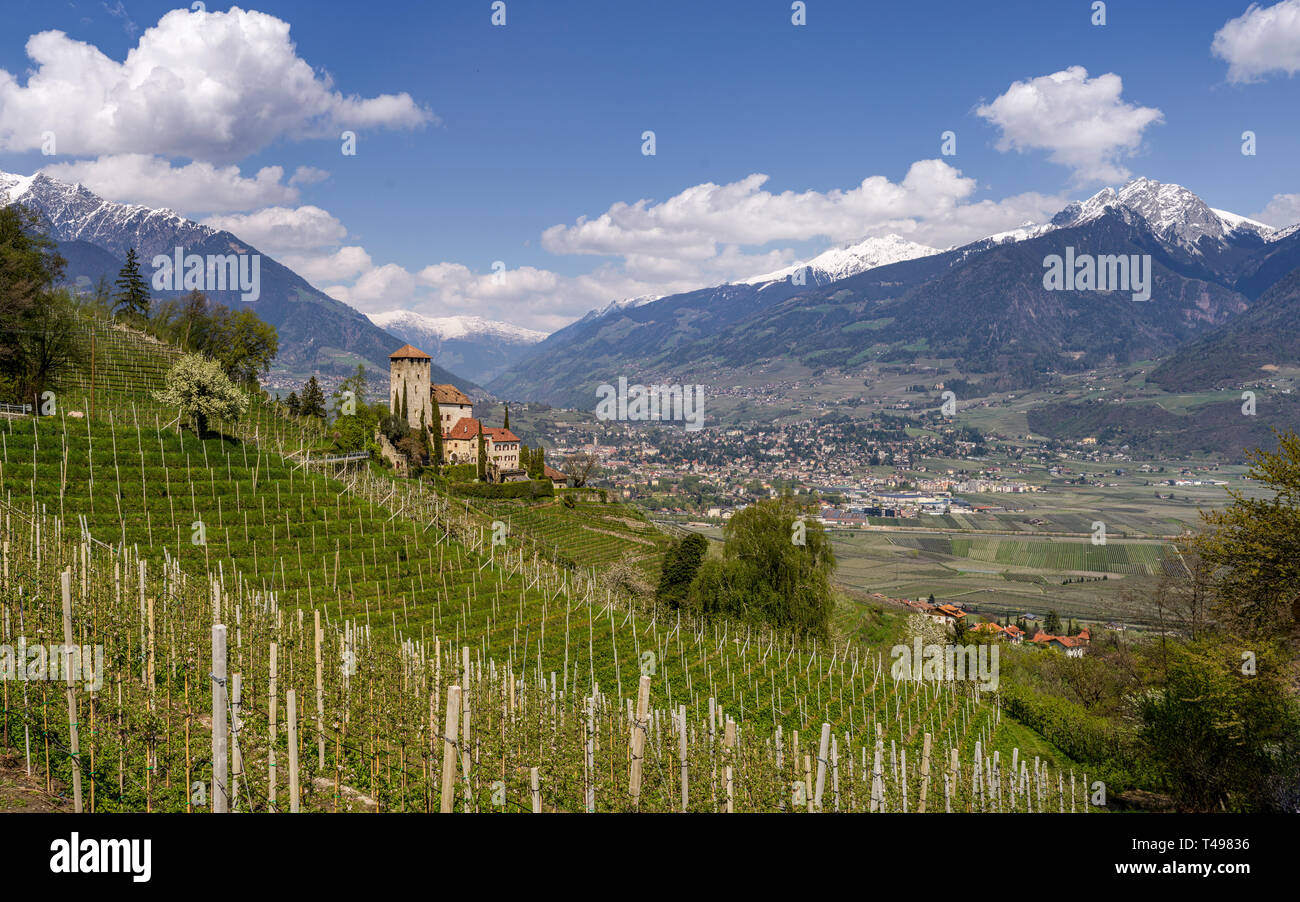 Frutteti di mele e vista di Alto Adige montagne, Merano e il castello Foto Stock