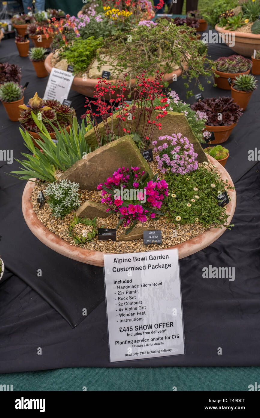 Cardiff, Galles, UK. 04/12/2019 RHS Cardiff Flower Show Foto Stock