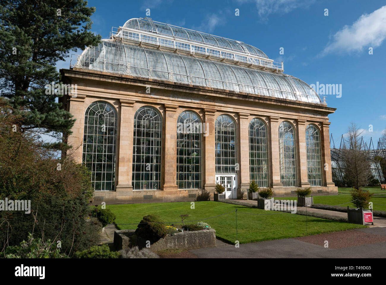 La Casa delle Palme serra presso il Royal Botanic Garden di Edimburgo, in Scozia, Regno Unito Foto Stock