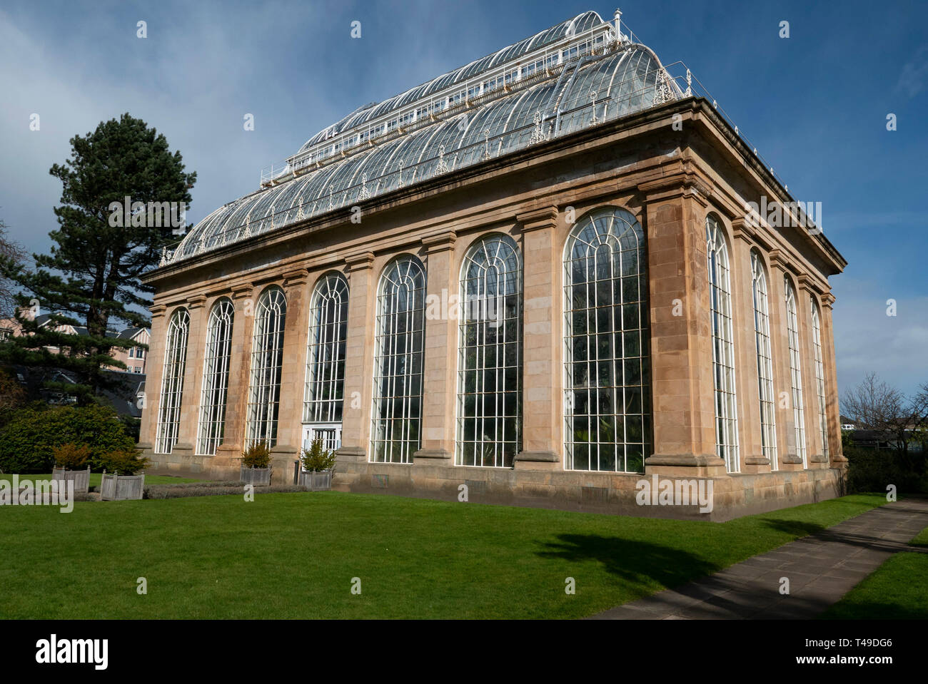 La Casa delle Palme serra presso il Royal Botanic Garden di Edimburgo, in Scozia, Regno Unito Foto Stock
