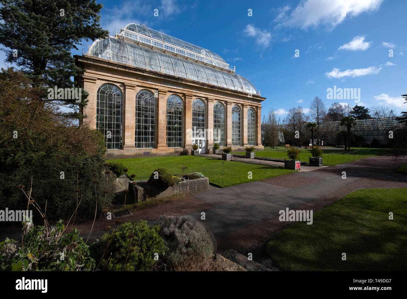 La Casa delle Palme serra presso il Royal Botanic Garden di Edimburgo, in Scozia, Regno Unito Foto Stock
