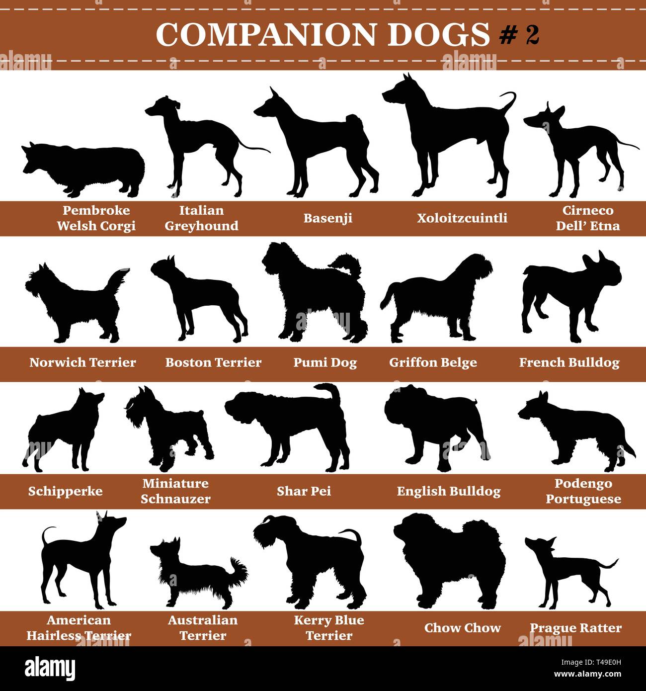 Set di 20 cani companion. Set di vettore del compagno di razze di cani in piedi nel profilo. Isolate i cani di razza set di sagome in colore nero su bianco backgro Illustrazione Vettoriale