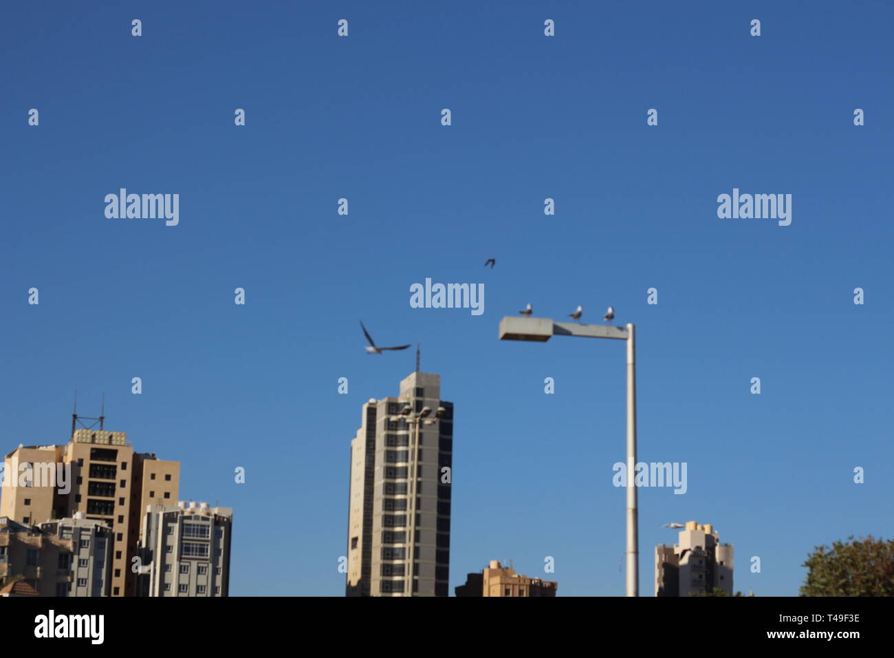 Kuwait la bellezza della natura di giorno e di notte Foto Stock